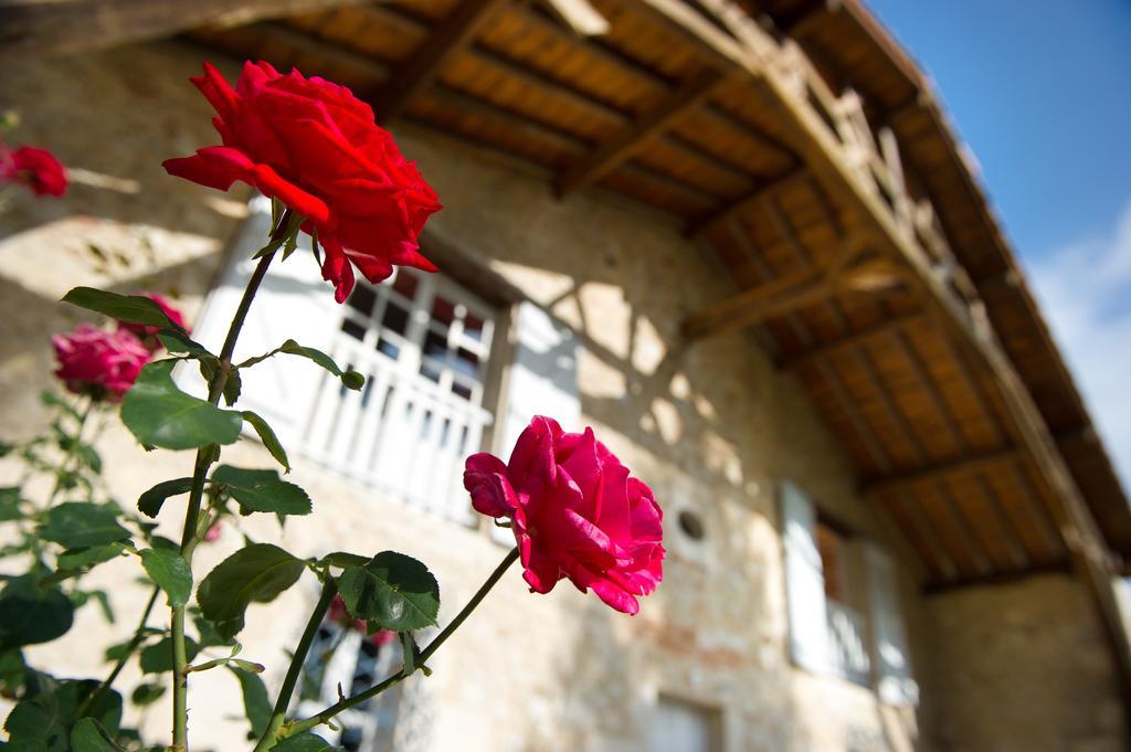 Le Poutic Gite Et Maison D'Hotes Creon-d'Armagnac Exterior foto